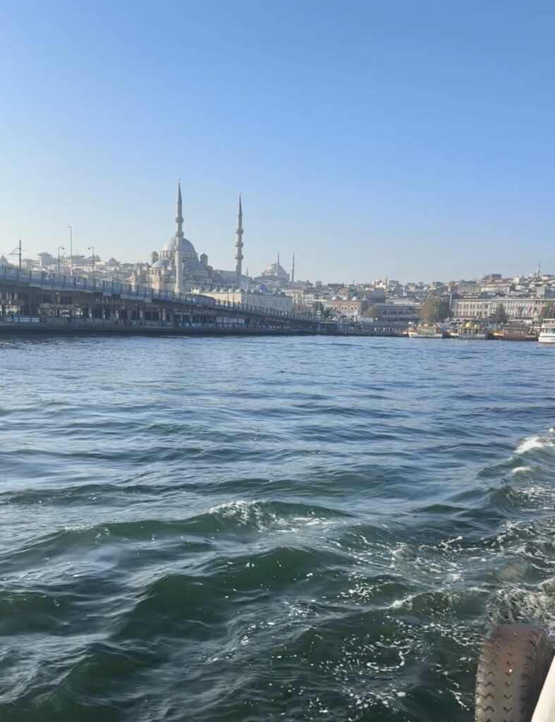 Ferry Bosphorus Istanbul Turkey Mediterranean Healthy Living
